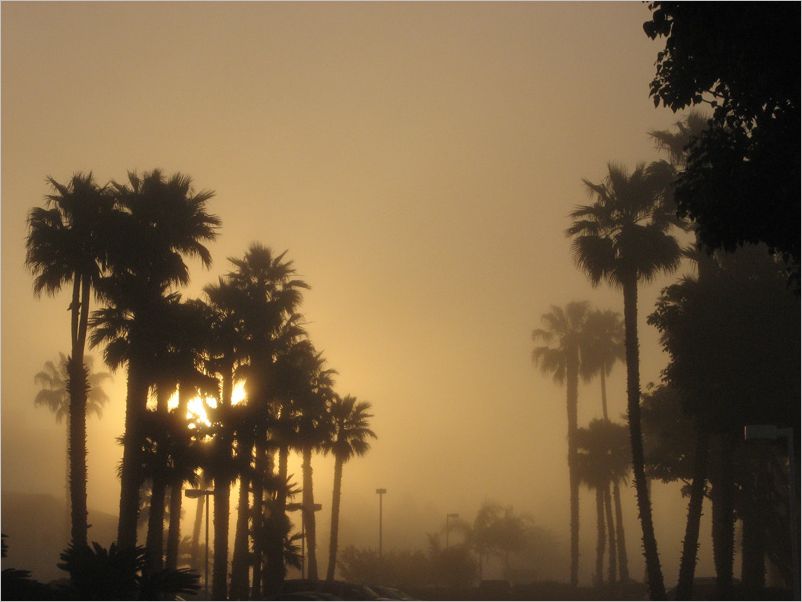 Sunrise In Fog DeWane Stone
